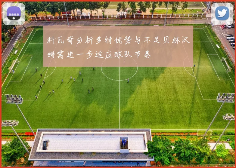 科瓦奇分析多特优势与不足贝林汉姆需进一步适应球队节奏